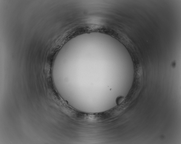 X0000116670565200912291701