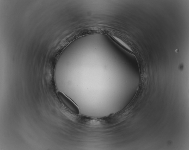 X0000116670566200912291701