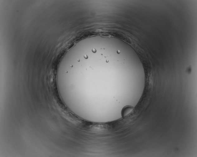 X0000116670567200912291701