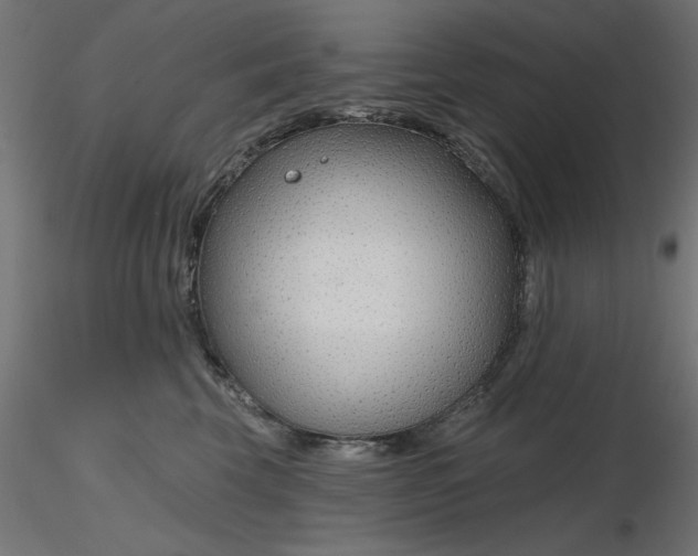 X0000116670569200912291701