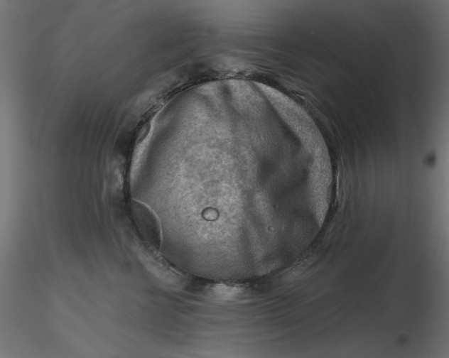 X0000116670570200912291701