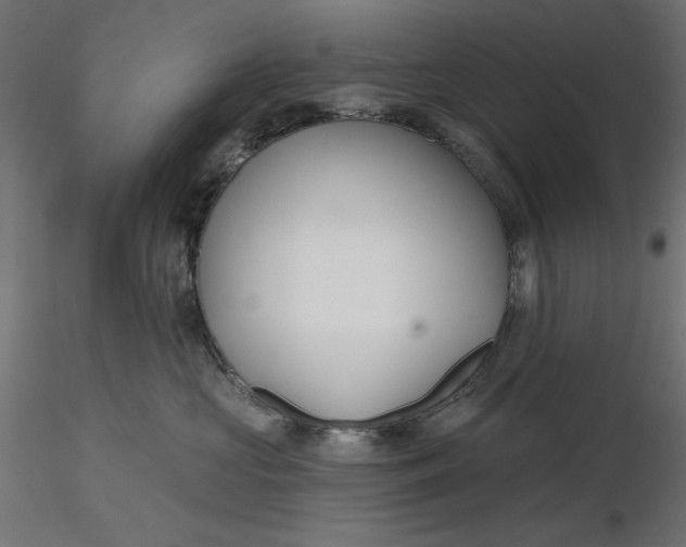 X0000116670573200912291701