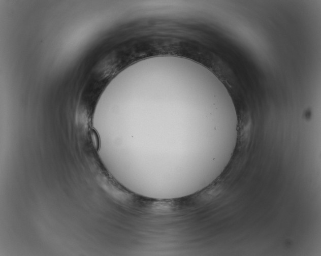 X0000116670574200912291701