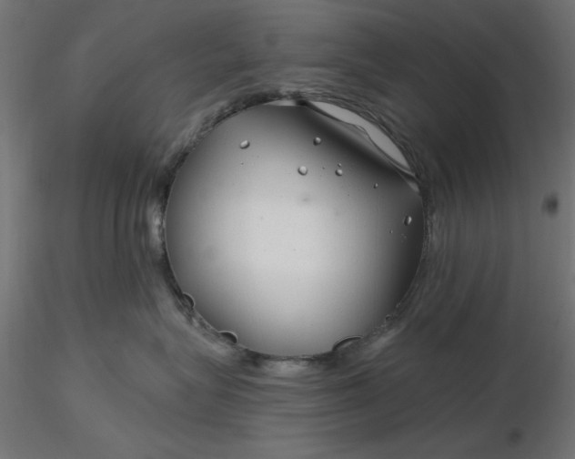 X0000116670575200912291701