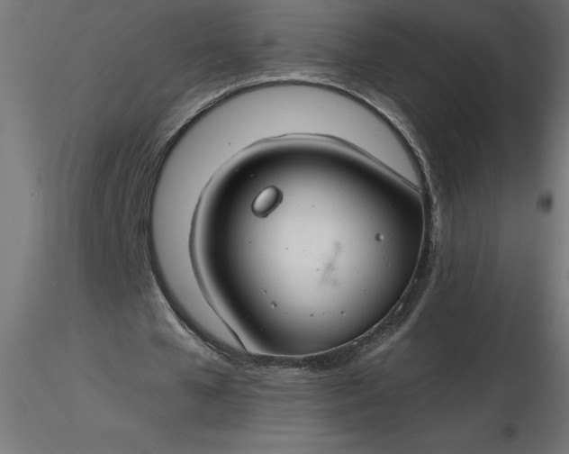 X0000116670577200912291700