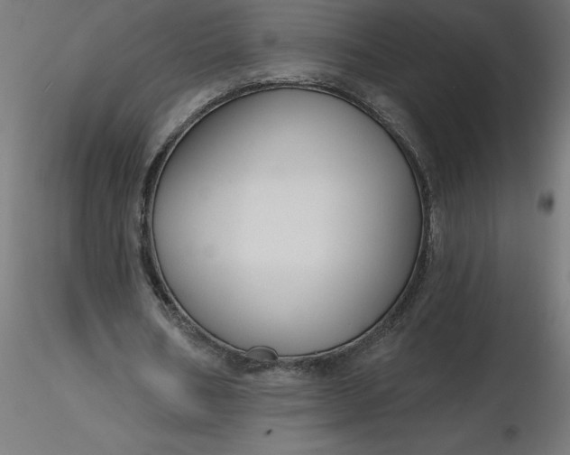 X0000116670578200912291700