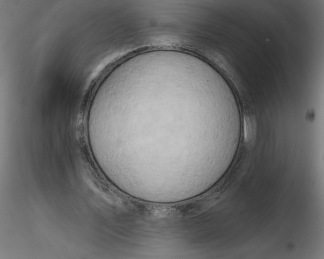 X0000116670579200912291700