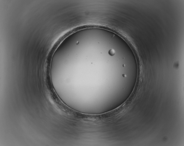 X0000116670580200912291700