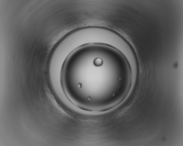 X0000116670581200912291700