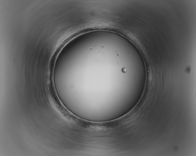 X0000116670582200912291700