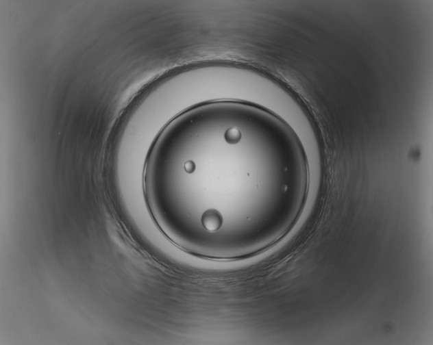 X0000116670583200912291700