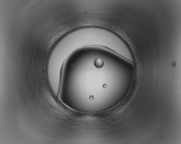 X0000116670585200912291700