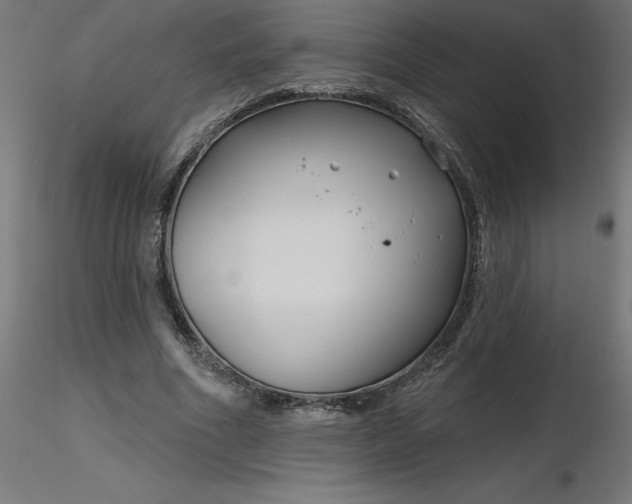 X0000116670586200912291700