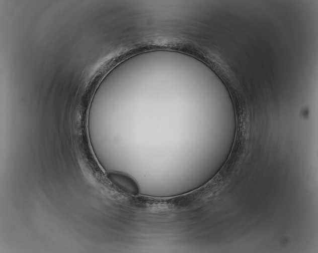 X0000116670587200912291700