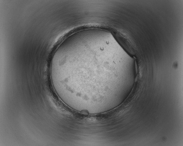 X0000116670588200912291700