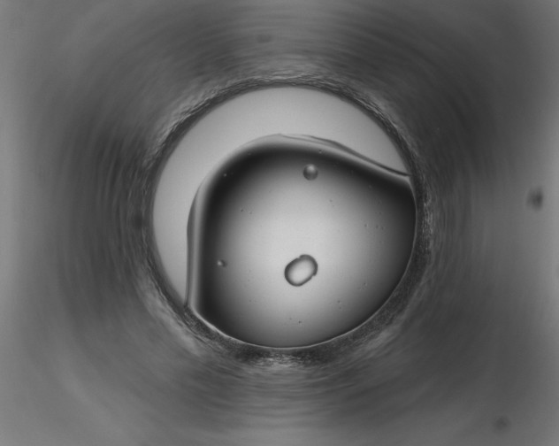 X0000116670589200912291700