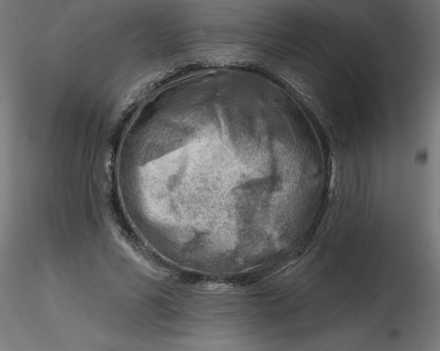 X0000116670590200912291700