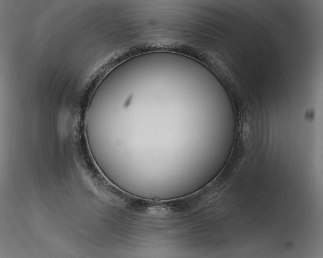 X0000116670591200912291700