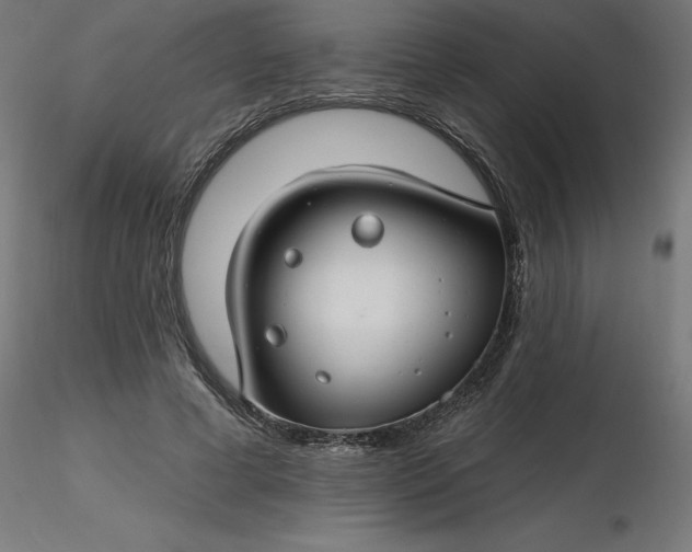 X0000116670593200912291700