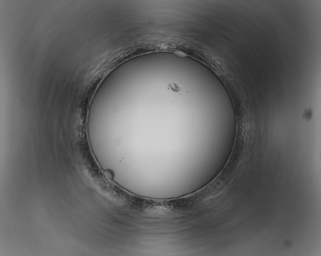 X0000116670594200912291700