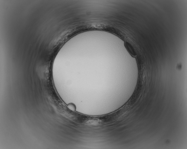 X0000116670595200912291700