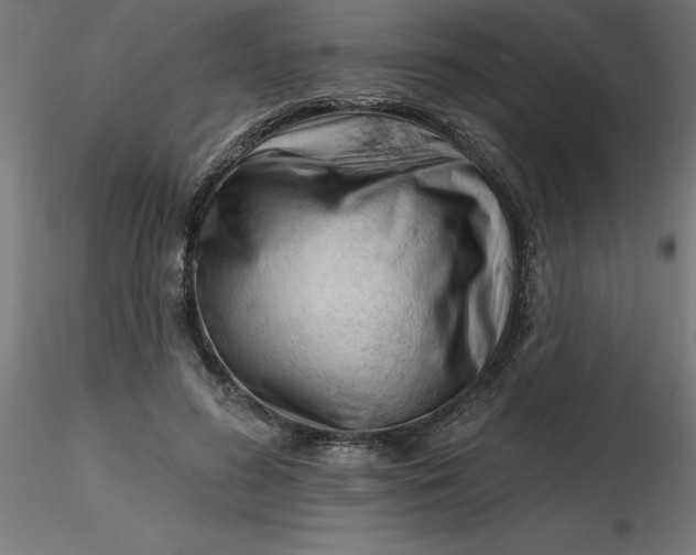 X0000116670596200912291700