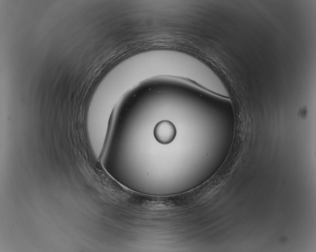 X0000116670597200912291700