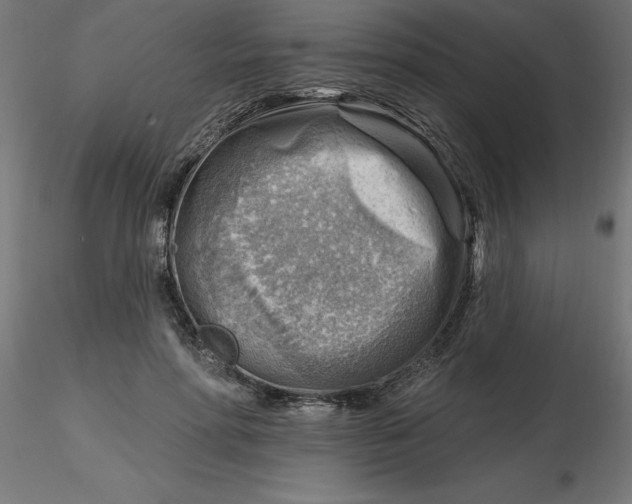 X0000116670598200912291700