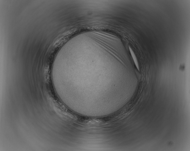 X0000116670599200912291700