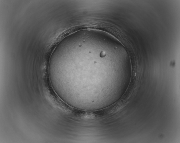 X0000116670600200912291700