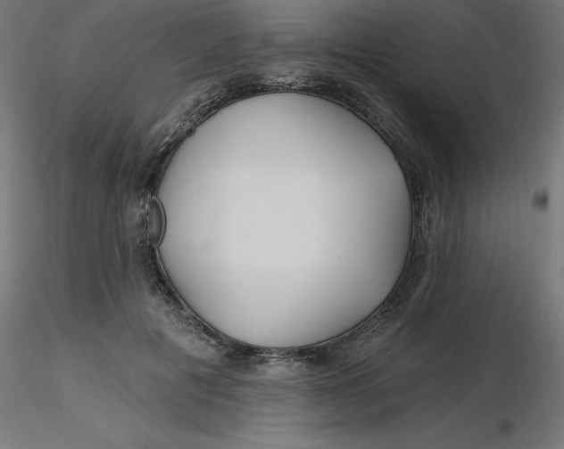 X0000116670601200912291700