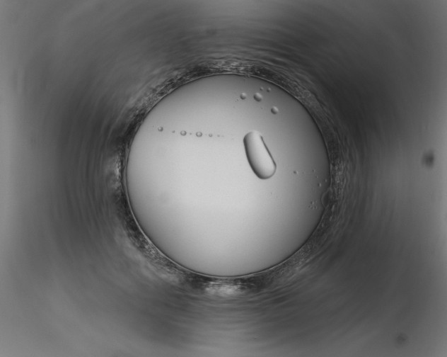 X0000116670602200912291700