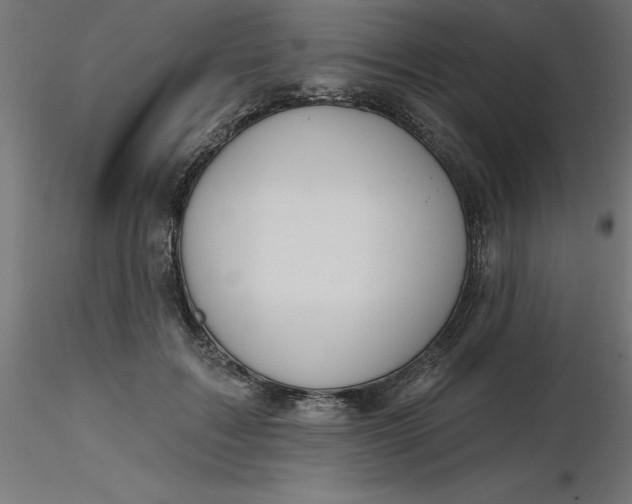 X0000116670603200912291700