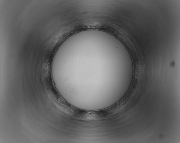 X0000116670604200912291700