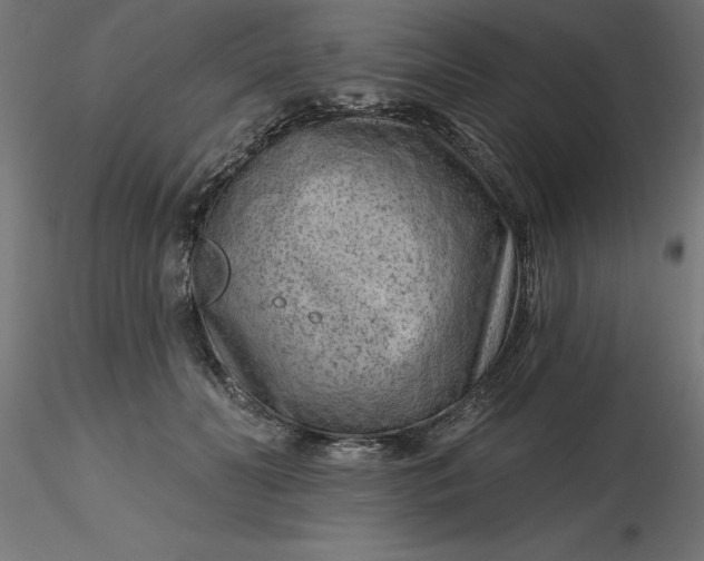 X0000116670606200912291700