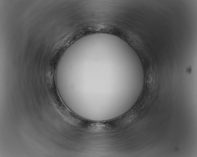 X0000116670607200912291700