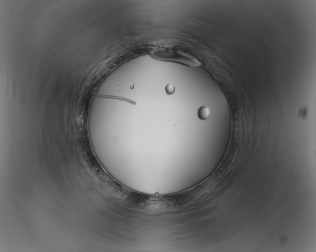 X0000116670608200912291700