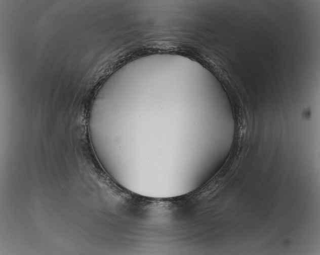 X0000116670609200912291700