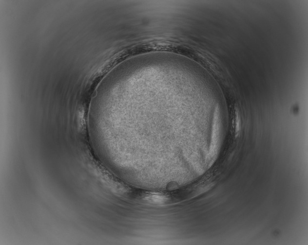 X0000116670610200912291700