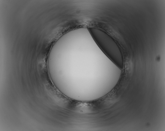 X0000116670611200912291700