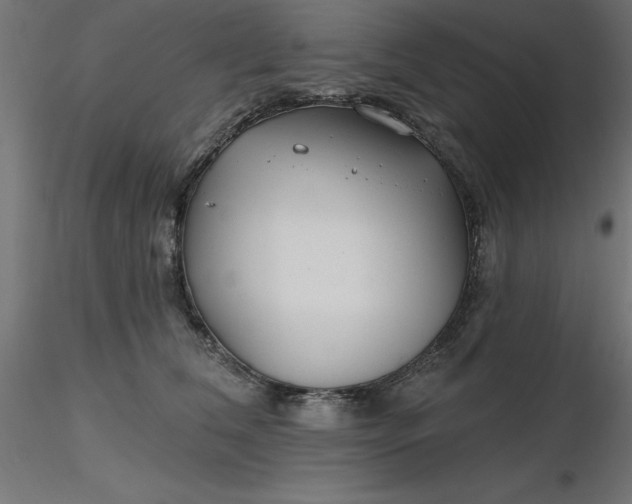 X0000116670612200912291700