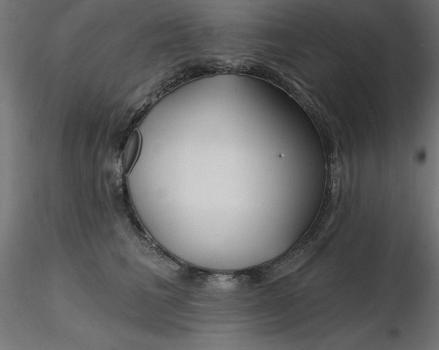 X0000116670613200912291700