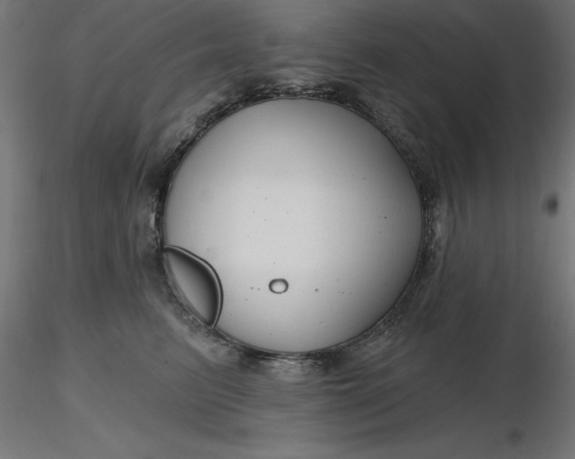 X0000116670615200912291700