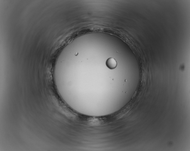 X0000116670616200912291700