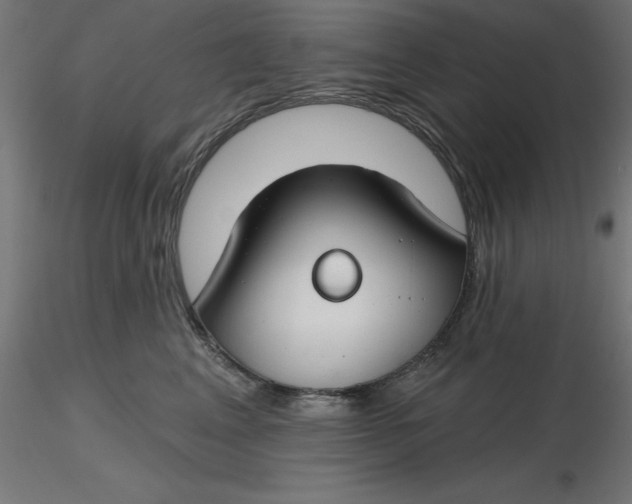 X0000116670617200912291659