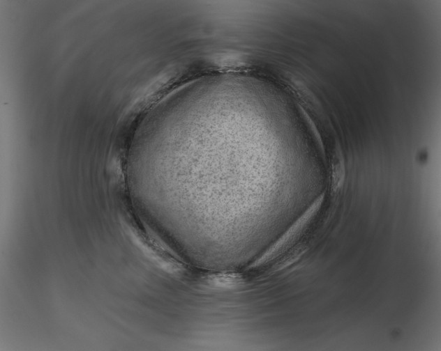 X0000116670618200912291659