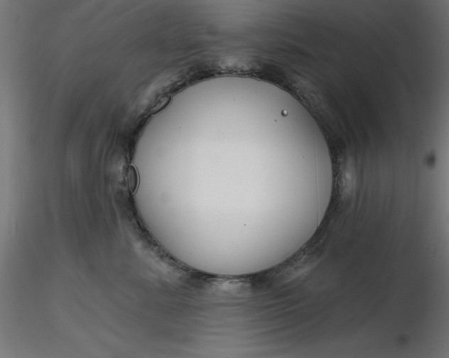 X0000116670619200912291659