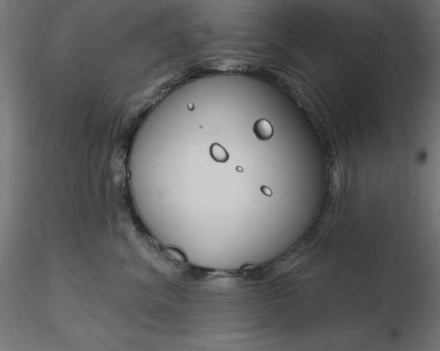 X0000116670620200912291659