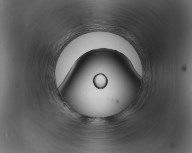 X0000116670621200912291659