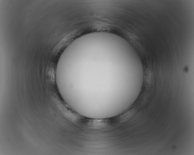 X0000116670622200912291659